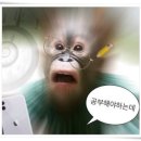 웅샘수학학원 이미지