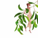 M.S garden 이미지