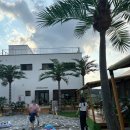 마장면-01 | 이천 럭셔리 글램핑 인디어라운드 아드리아 내돈내산🏝️🌴