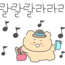 히얼스탑 - 수영구 남천동 | 히얼스탑