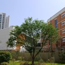 신당인덕3로-9 이미지