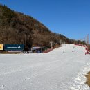 강촌 | 서울 근교 커플 스키장 엘리시안 강촌 데이트 후기