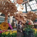 벨라지오호텔 이미지