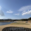 현대자동차동백점 | 제주골프여행 제주겨울골프 해비치 제주cc 팜, 레이크 코스 내돈내산 2인 라운딩 추천 후기