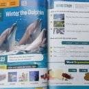 상남동170 이미지