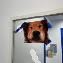 위드마이베스티 이미지