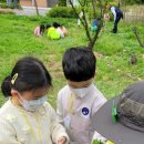 월산초병설유치원 이미지