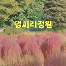 열두달 국내 여행지 추천 & 인생사진 찍기 | 연천 임진강 댑싸리 정원｜경기도 가을여행지 추천, 숨은 포토존 명소