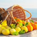 레몬과 오렌지 이미지