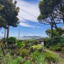 위미그라스 이미지