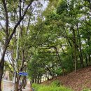 점골 어린이공원 이미지