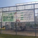 구)청룡주민센터 이미지