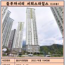 블루마루 이미지