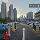 아라네 본사직영점