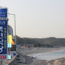 안녕후포리 이미지