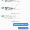 개예쁘다 이미지
