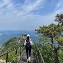 하봉 | [등산일기] 월악산 등산코스 (보덕암~하봉~중봉~영봉~덕주사)