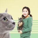 동물병원이야기