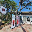 돌머리 696 이미지