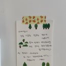 쇼어261