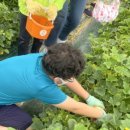 나봄2농장 이미지