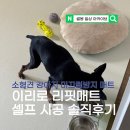 리핏 - 의정부시 산단로132번길 20 | 강아지 논슬립 미끄럼방지매트 이리로 리핏매트 솔직후기