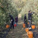 시설관리사업소 이미지