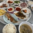 시골식백반 | 한국기행 고성 회백반 맛집 정보