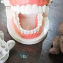 전주예치과의원 이미지