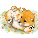 광남유치원 이미지