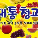 대통청과
