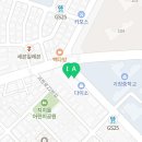 탄방포도알약국 네이버블로그