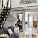 정스 스토리 이미지