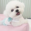 어서왈왈 이미지