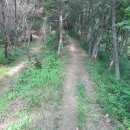 서천 건지산성 이미지