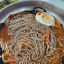 진부령막국수 이미지