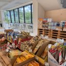 마켓진양호평택점 | 아산 근교 평택 “마켓진양호” 애견동반 카페 리얼후기