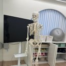 파인드유어바디 | 강남구청 체형교정 | 파인드유어바디 SNPE 솔직후기