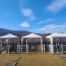 내고향식당 이미지