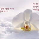 명품일대일수학학원
