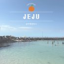 성산읍 고성리 1093-13 | 3월 제주도 꽃 날씨 초 중 말 제주 축제 가볼만한곳 유채꽃 개화시기