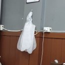 율짬뽕 네이버블로그