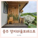 양지마을 | 내돈내산 :: 충주 양지마을포레스트 바베큐장