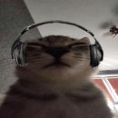 (유)우진택시 | 다들 개강 잘했니?