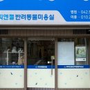 퍼피엔젤 반려동물 미용실 이미지