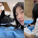 봄날의 강아지 이미지