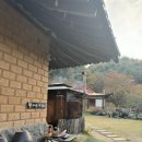 스테이 79 이미지