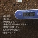 힐링효소찜질좌훈카페