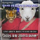 양덕종합신발 | 2025 포항2차전지 전국마라톤대회 출발장소 정보 및 칩, 티셔츠 수령 솔직 후기