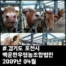 백운한우농장 이미지